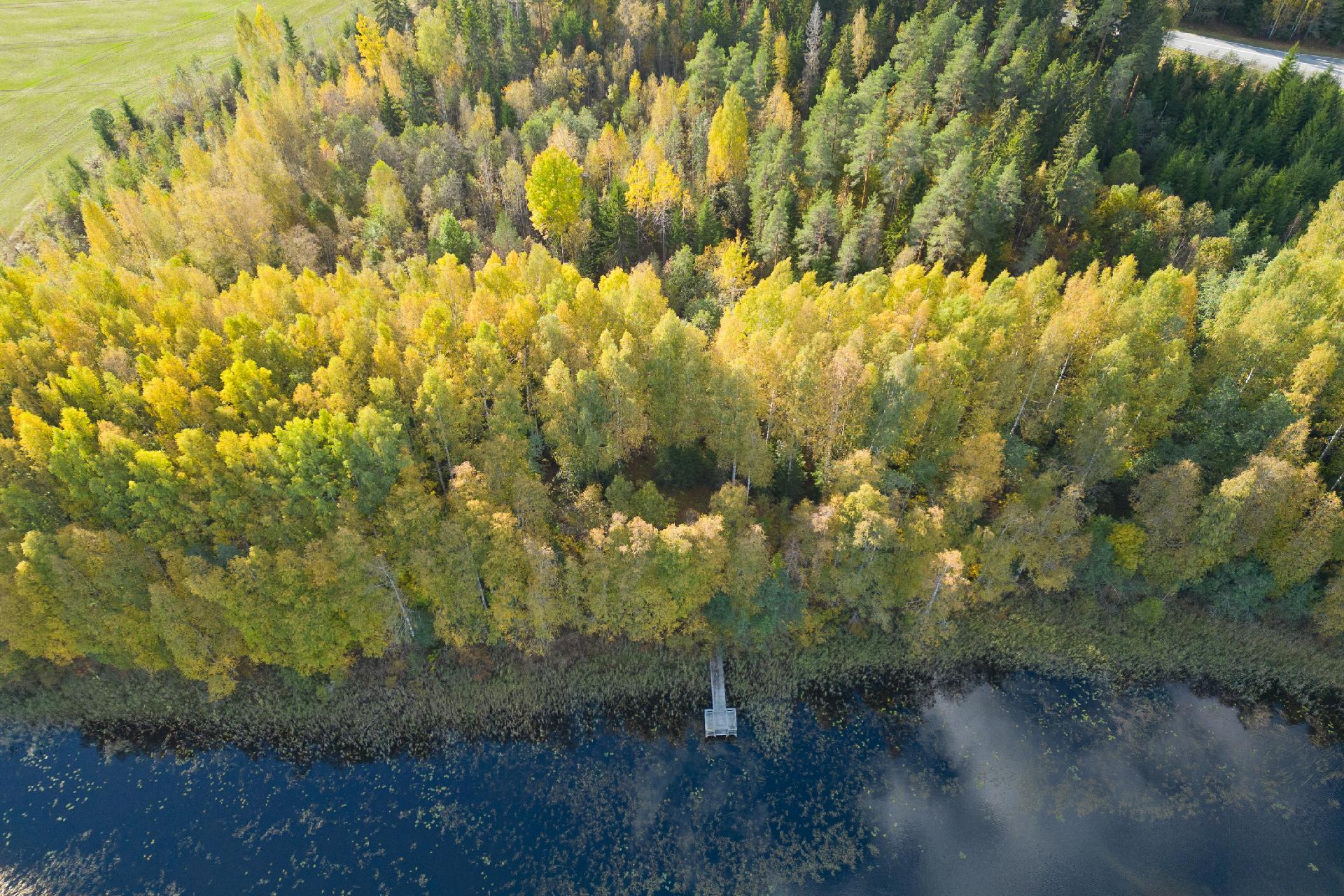 Väärinmajantie 1160, Väärinmaja, Ruovesi