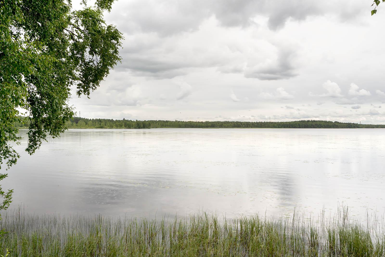 Pyykösjärven rantojen kaunista ympäristöä