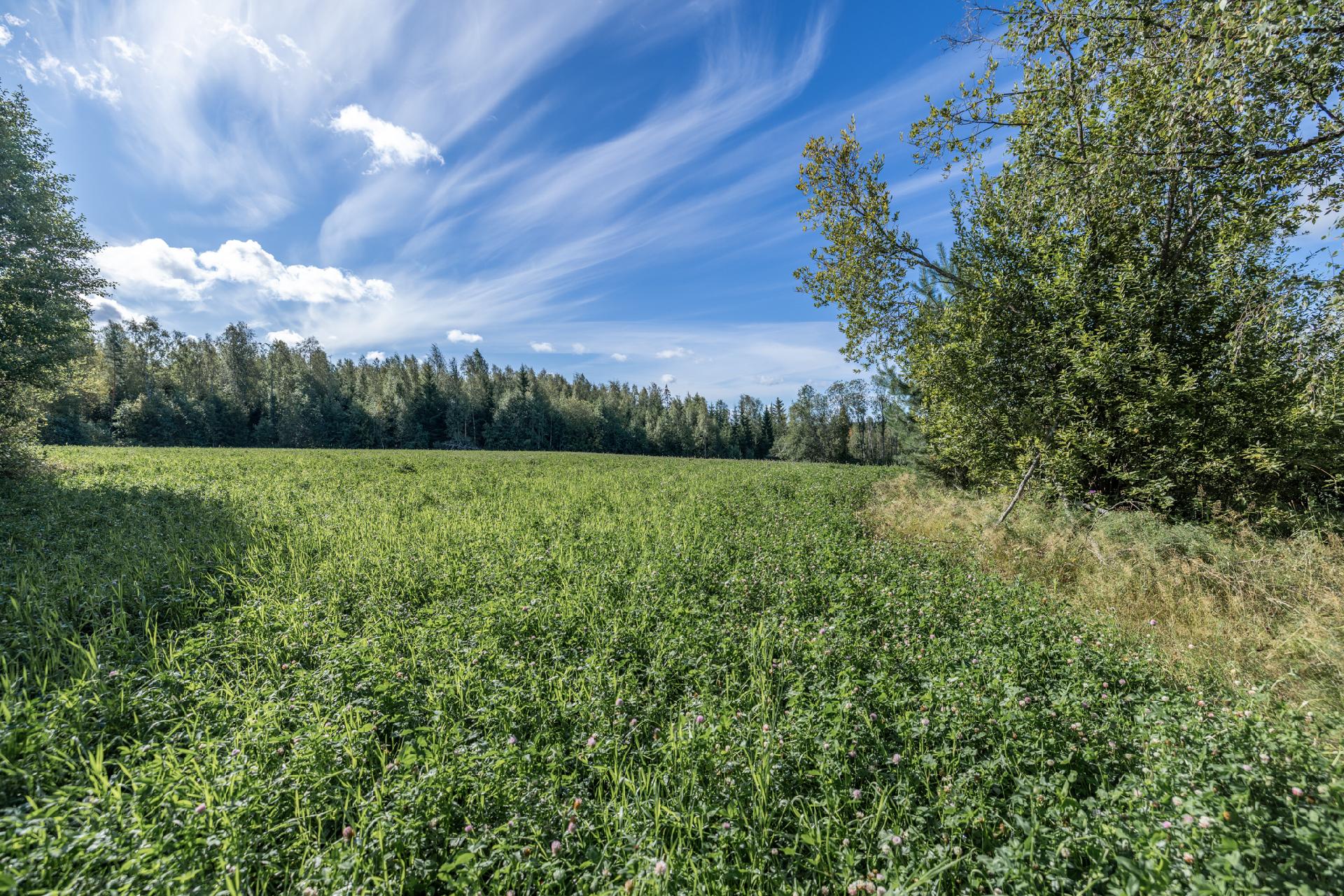 Juuvinkyläntie 2, Mikkeli