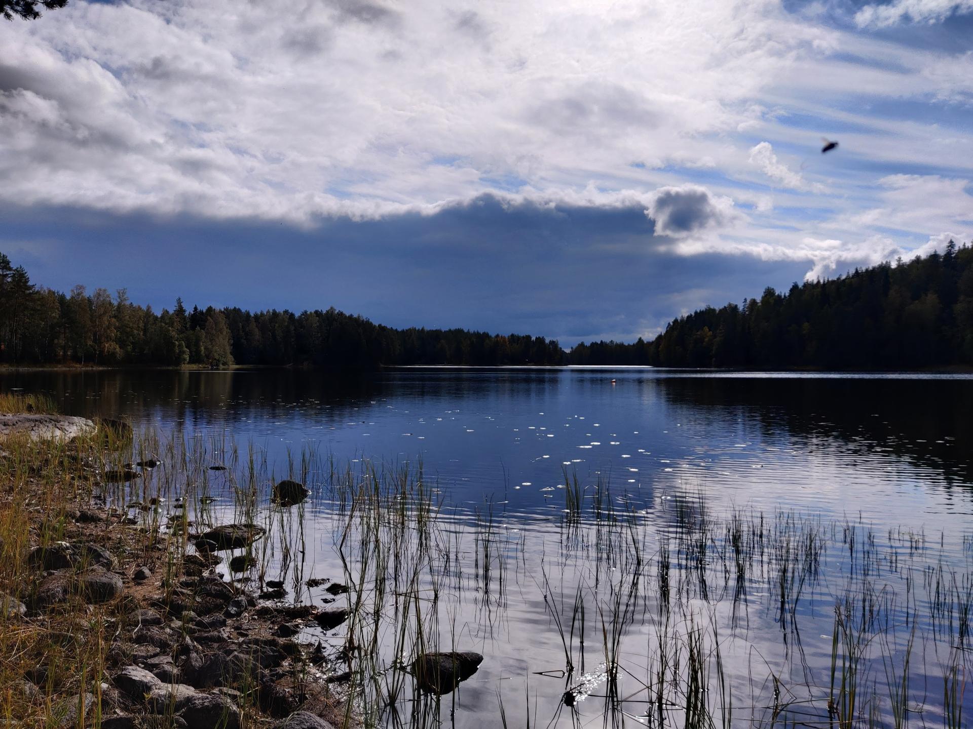 kuva on otettu niemen länsirannalla kohti etelää
