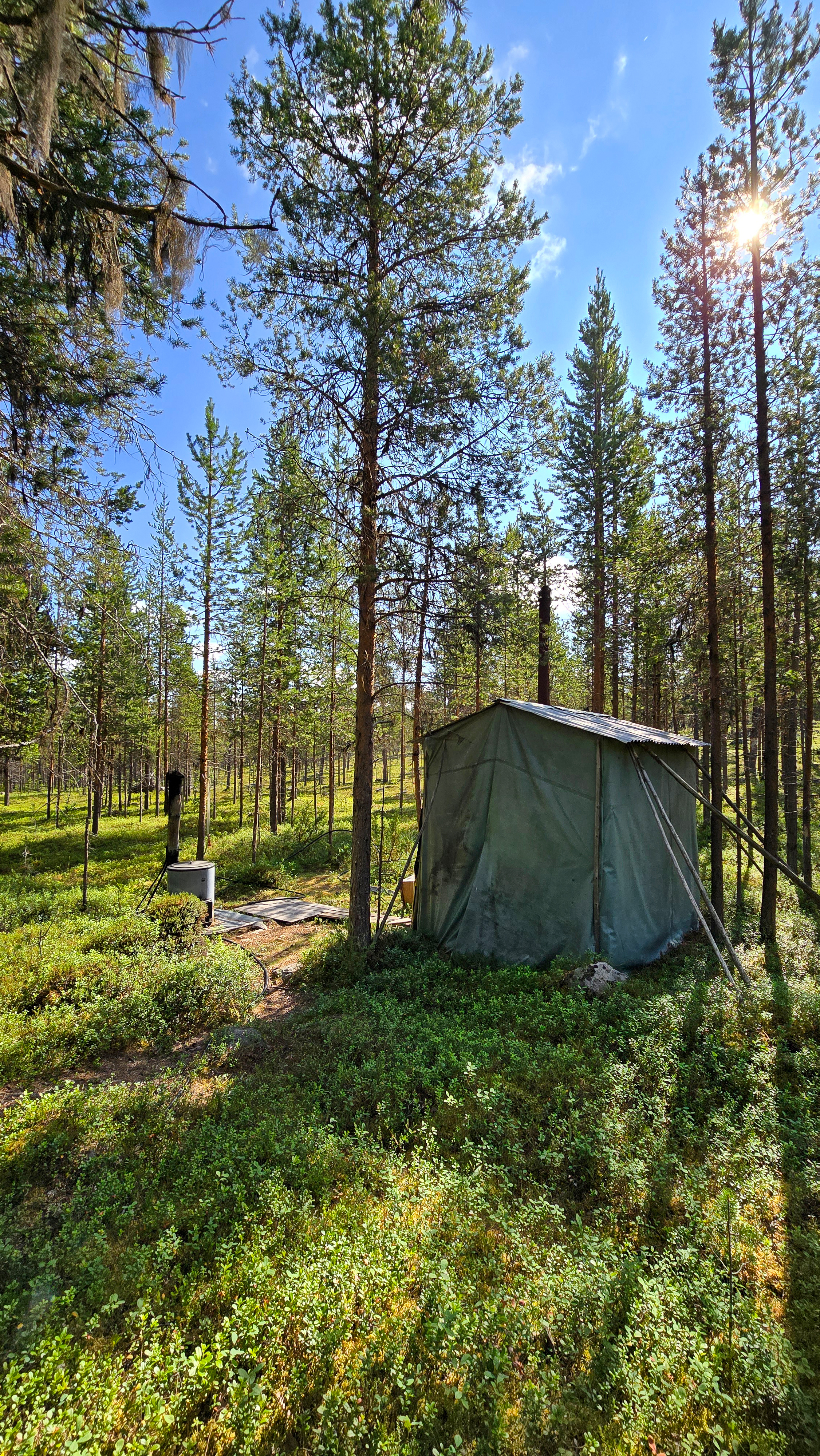 Ylämökin pressusauna.