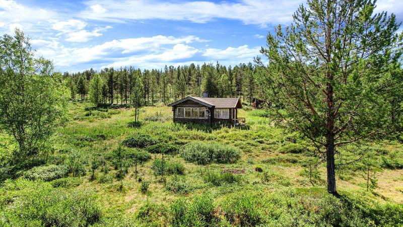 Alamökki ja pihapiirin niitty.