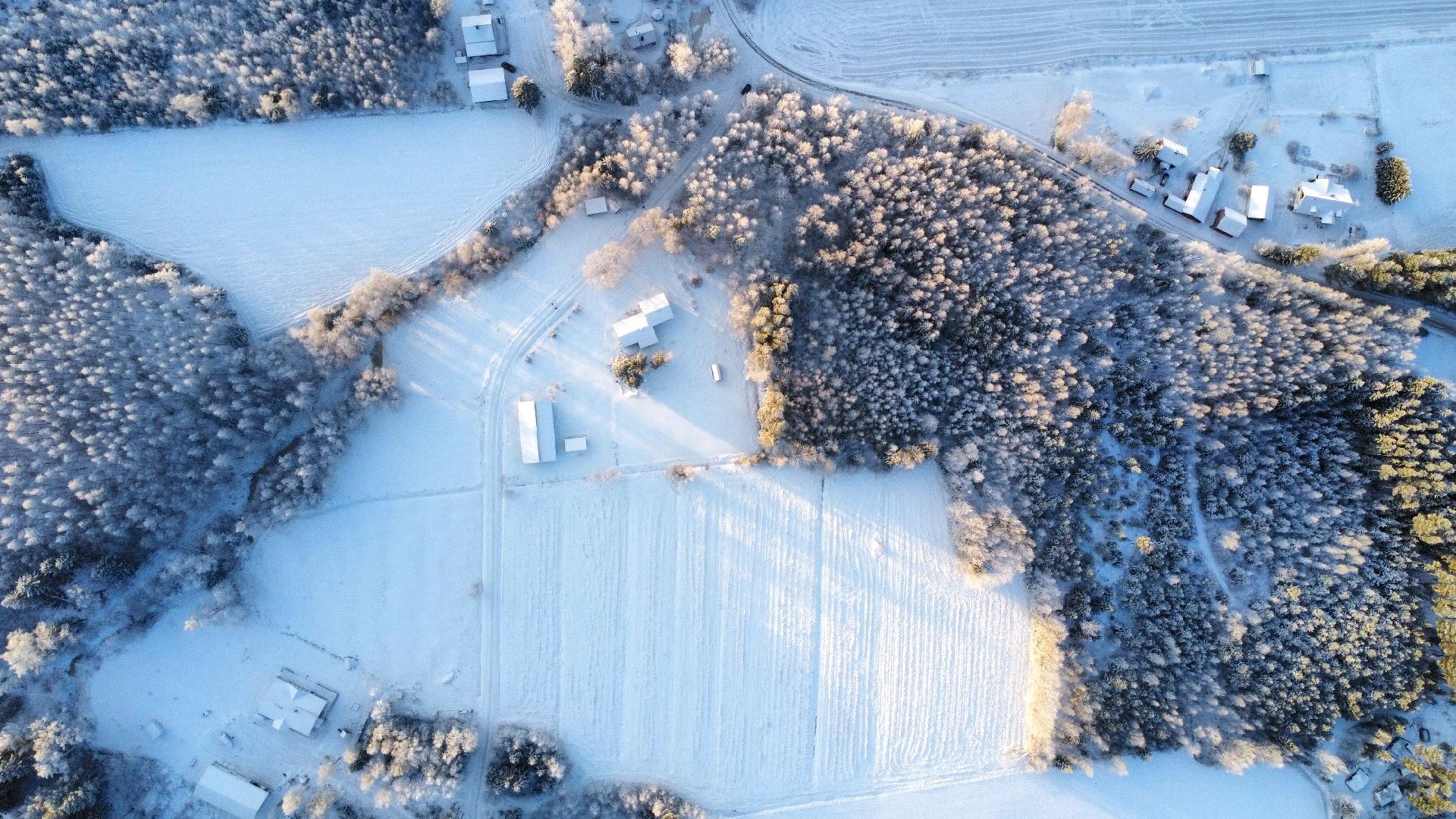 Postitie 189, Tuiskula, Kurikka