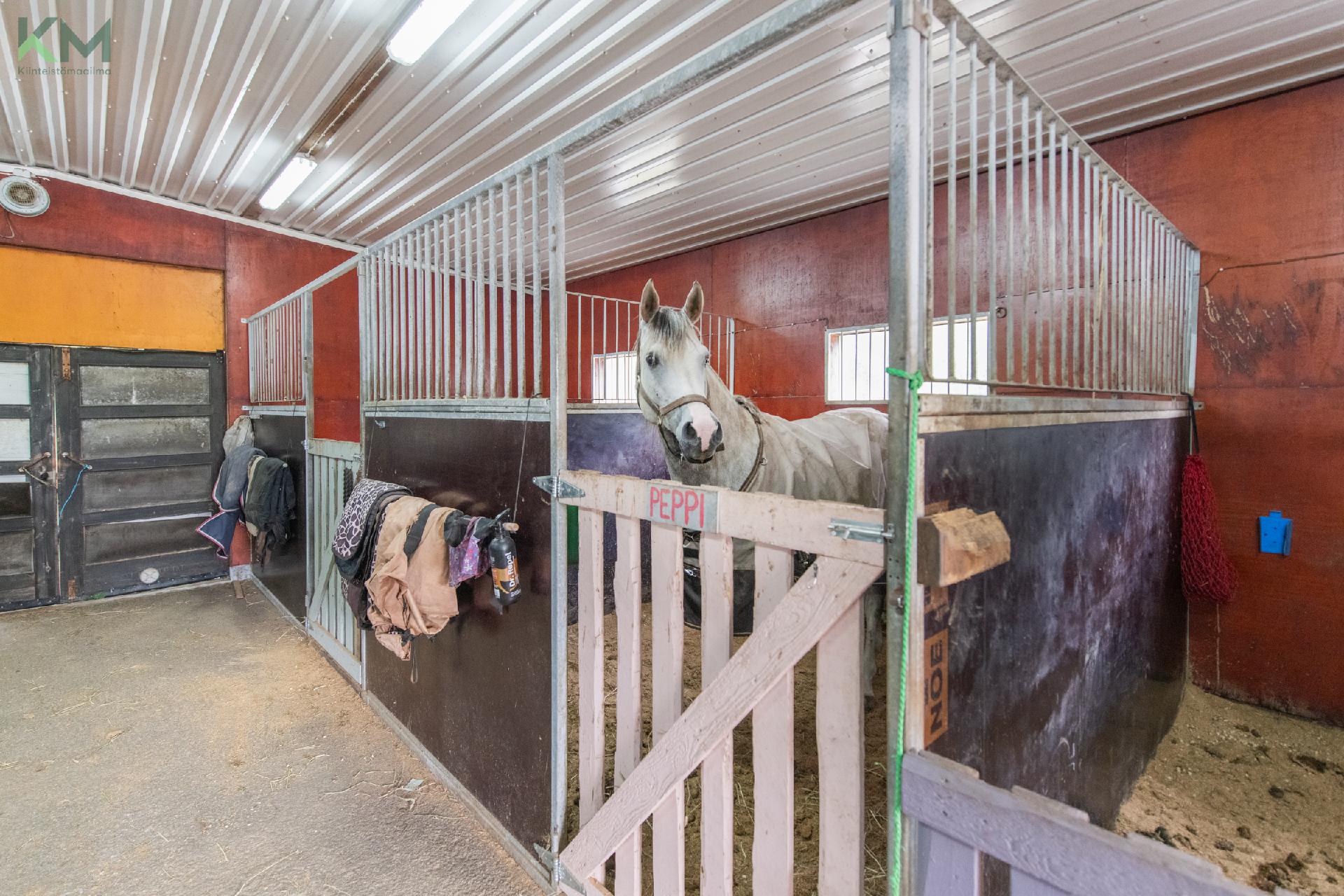 Postitie 189, Tuiskula, Kurikka