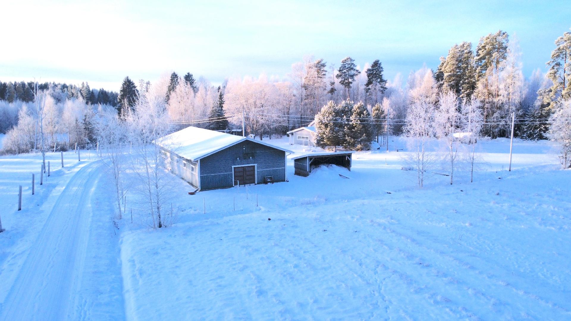 Postitie 189, Tuiskula, Kurikka