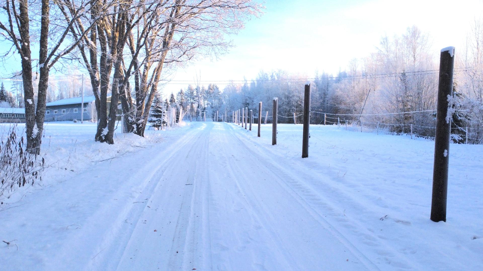 Postitie 189, Tuiskula, Kurikka
