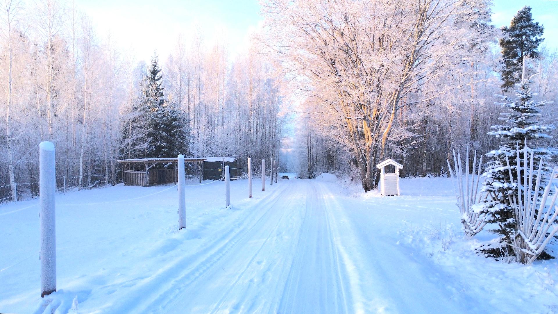 Postitie 189, Tuiskula, Kurikka