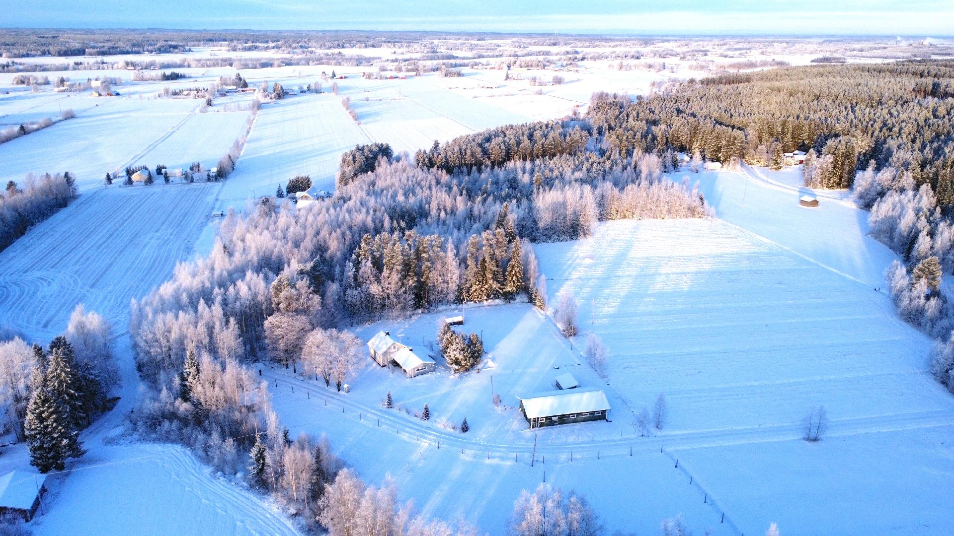 Postitie 189, Tuiskula, Kurikka