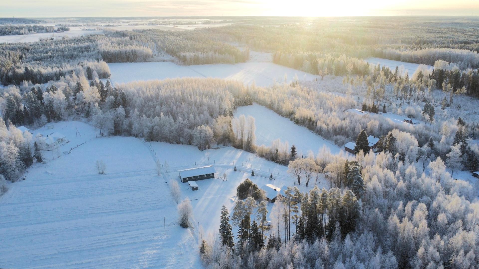 Postitie 189, Tuiskula, Kurikka