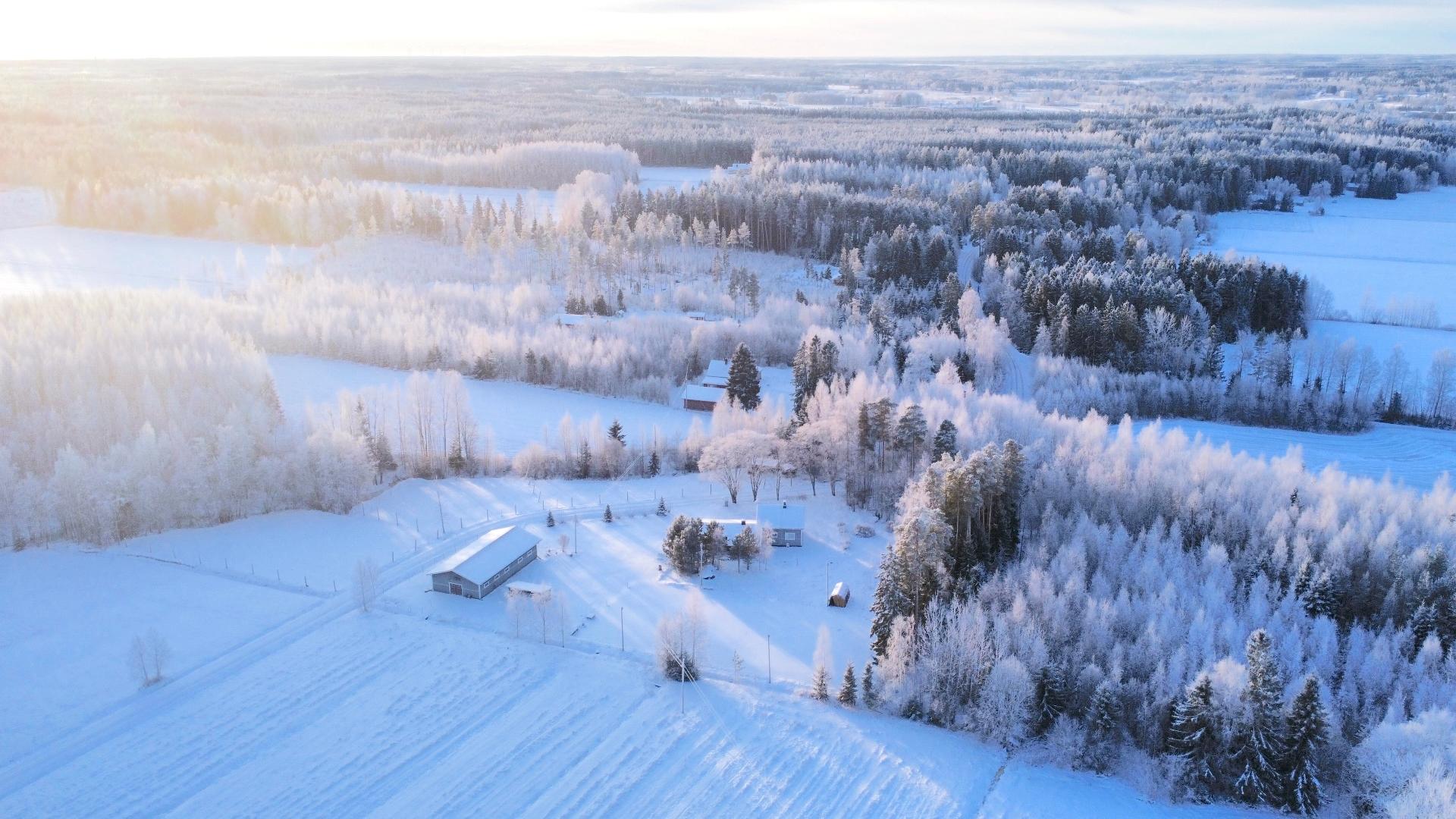 Postitie 189, Tuiskula, Kurikka