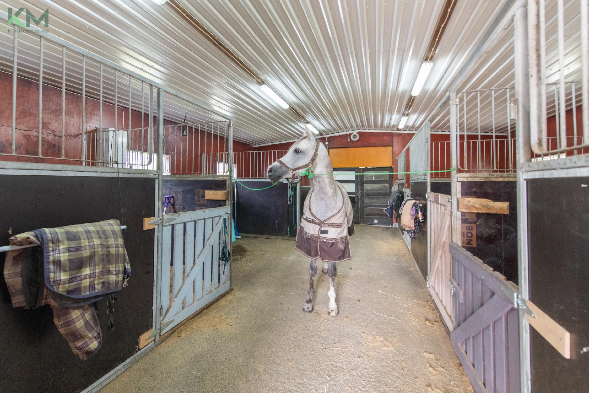 Postitie 189, Tuiskula, Kurikka