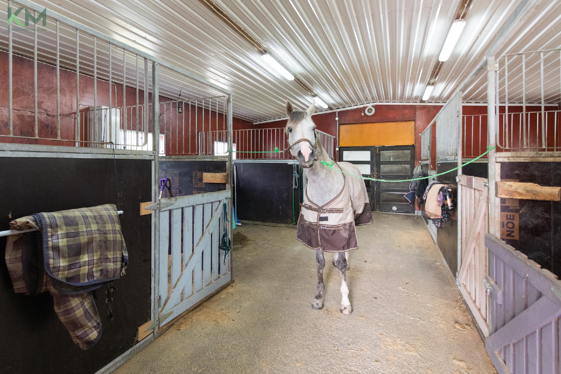 Postitie 189, Tuiskula, Kurikka