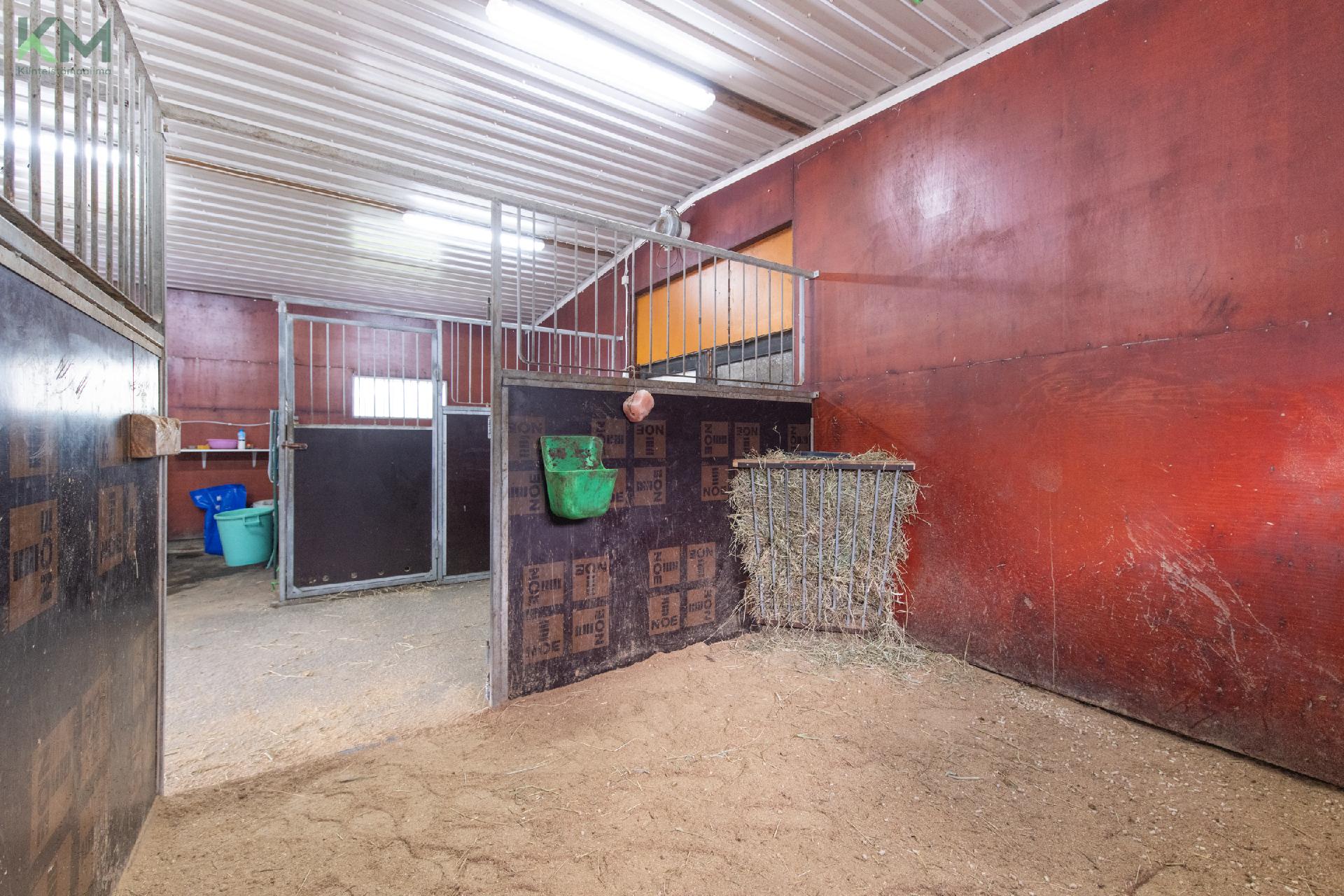 Postitie 189, Tuiskula, Kurikka