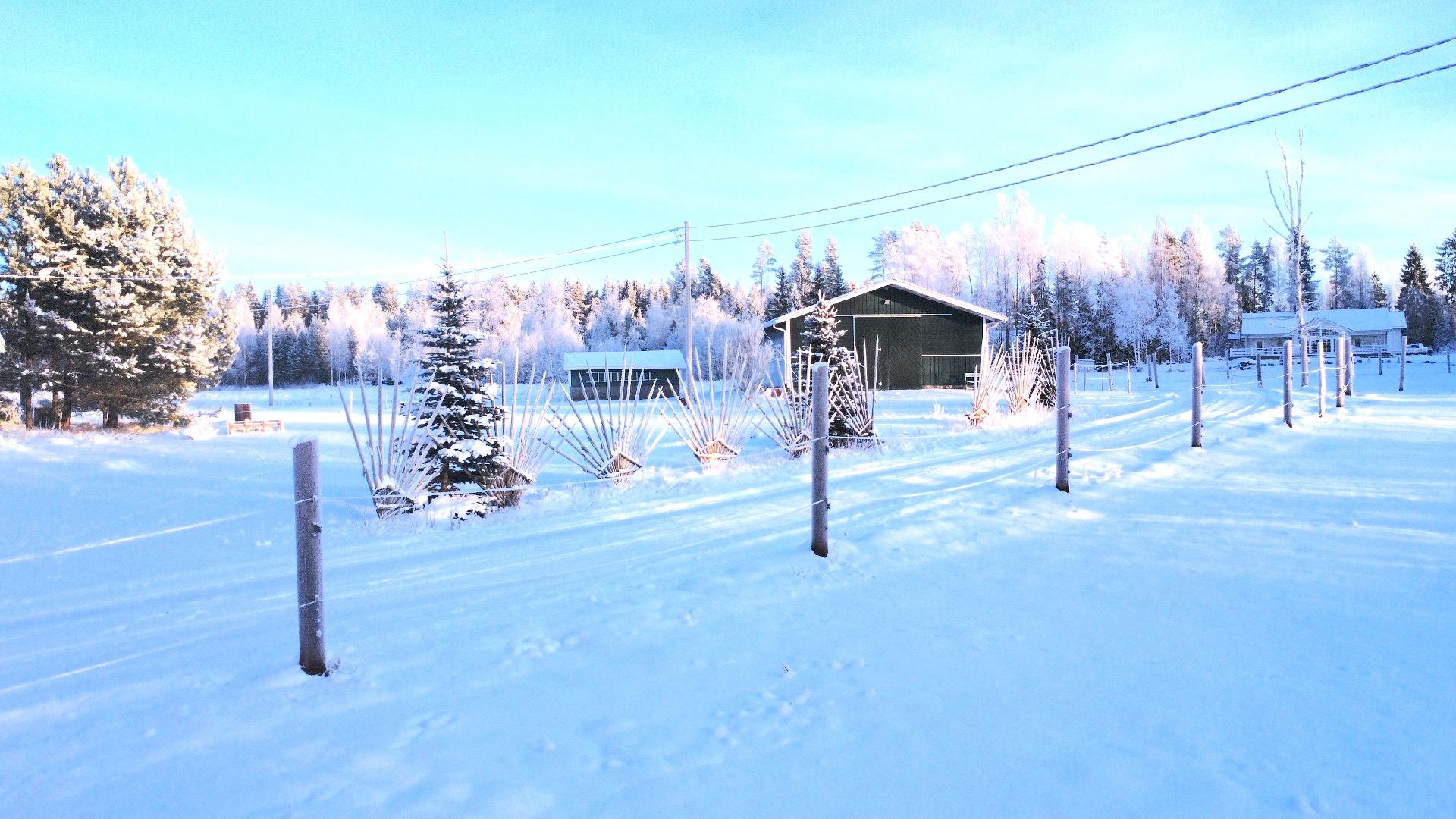 Postitie 189, Tuiskula, Kurikka