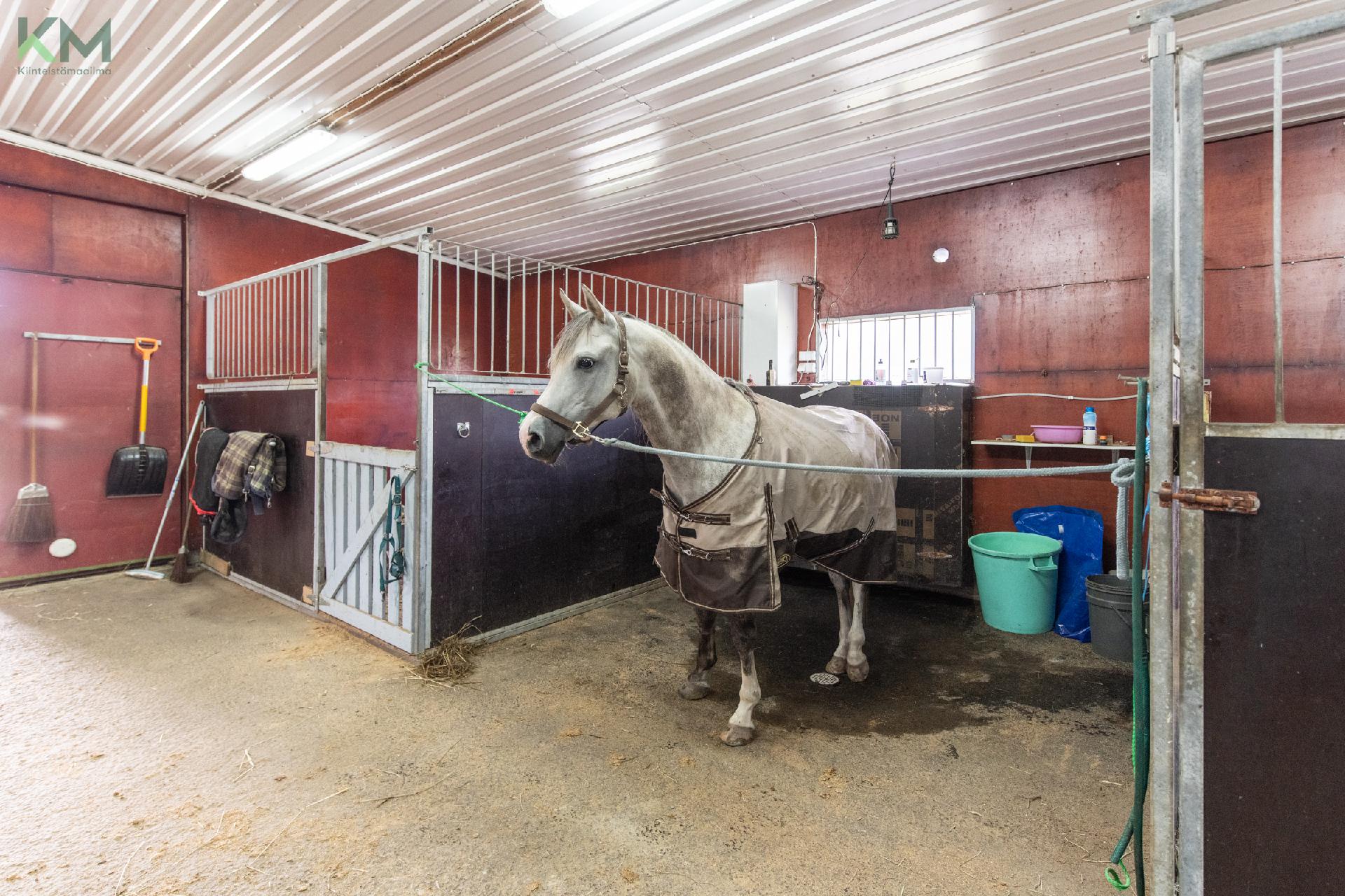 Postitie 189, Tuiskula, Kurikka