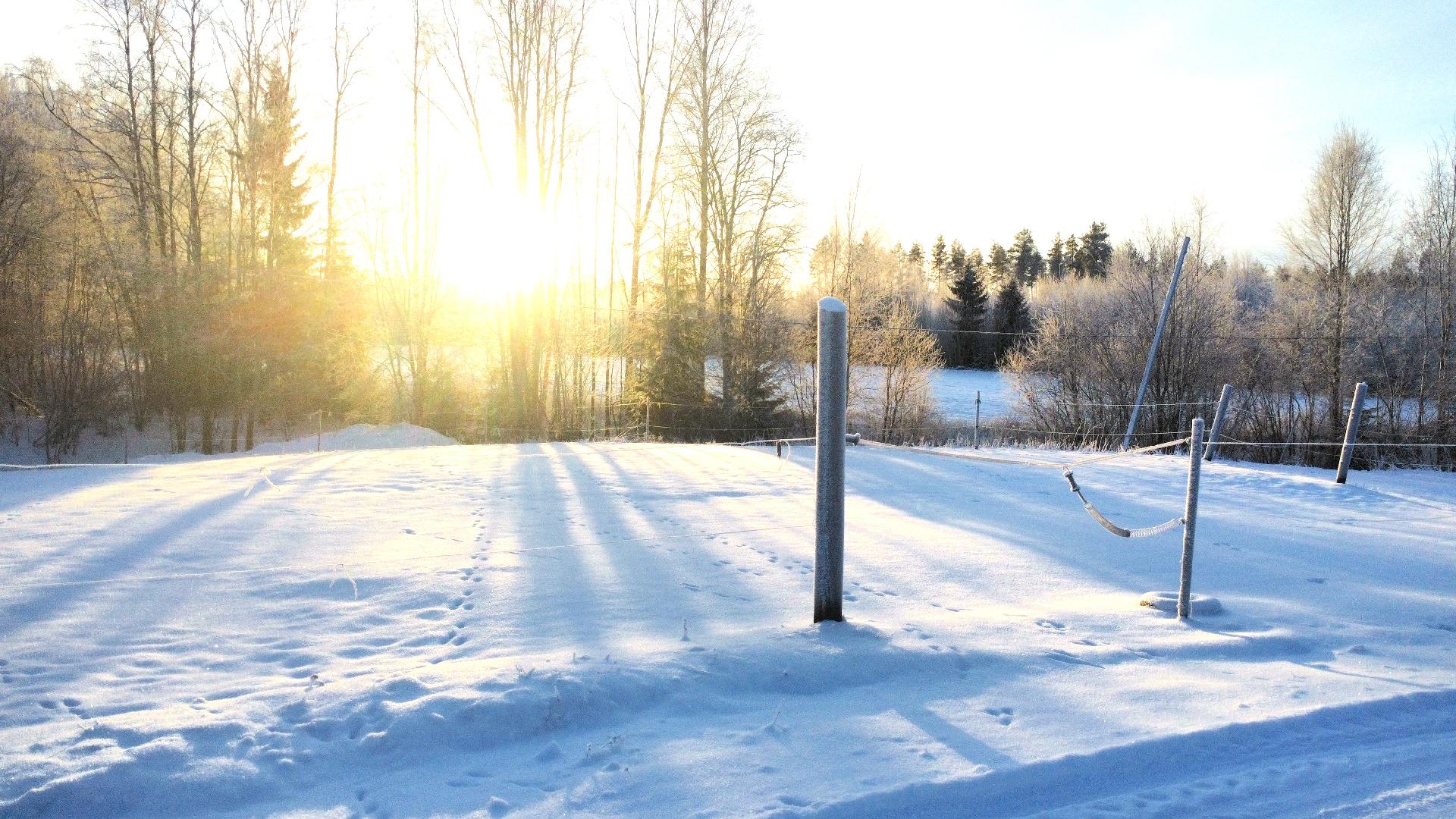 Postitie 189, Tuiskula, Kurikka