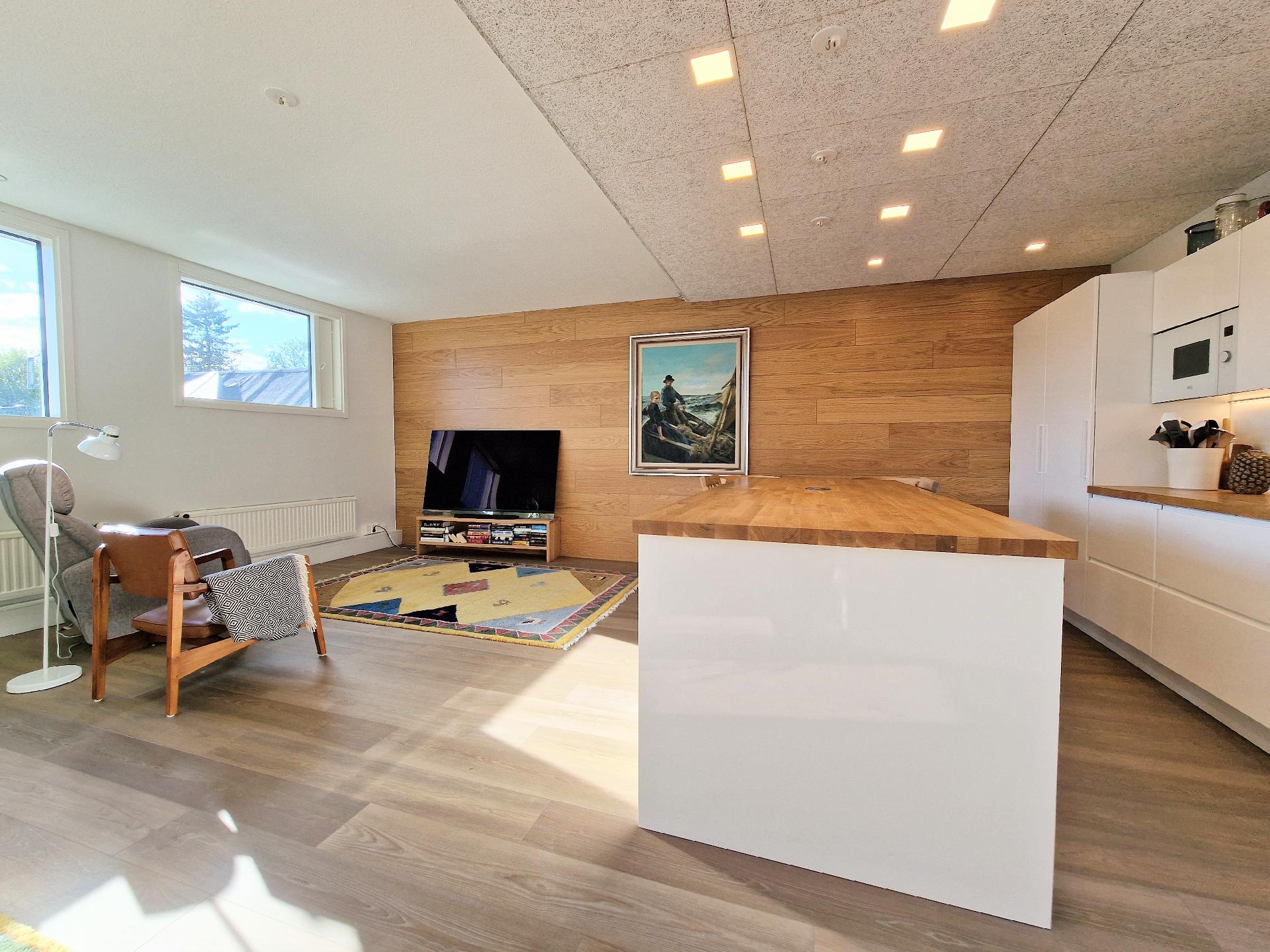 Olohuone ja keittiö