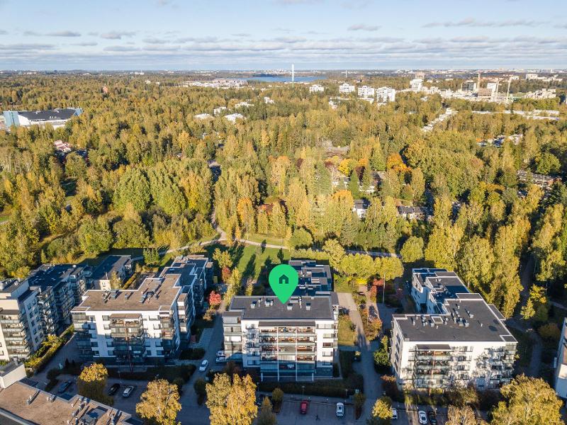 Puita ja puistoja riittää ympäristössä.