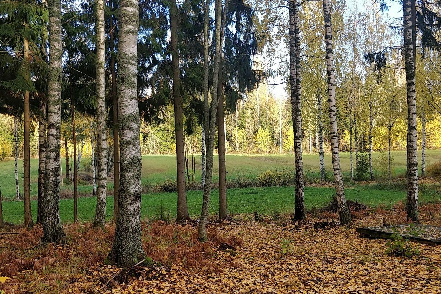 Ahonlaita 15, Purola, Tuusula