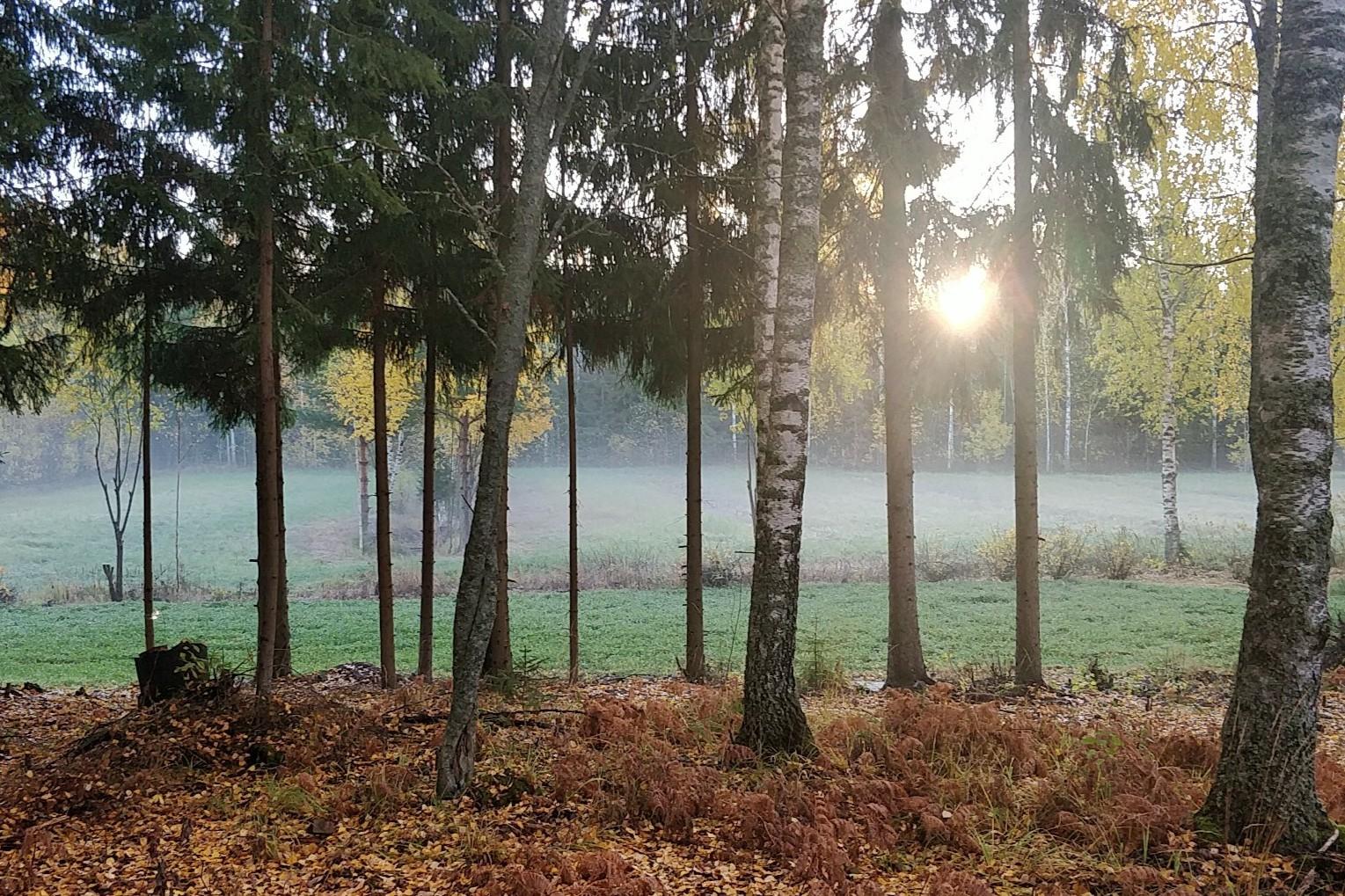 Ahonlaita 15, Purola, Tuusula