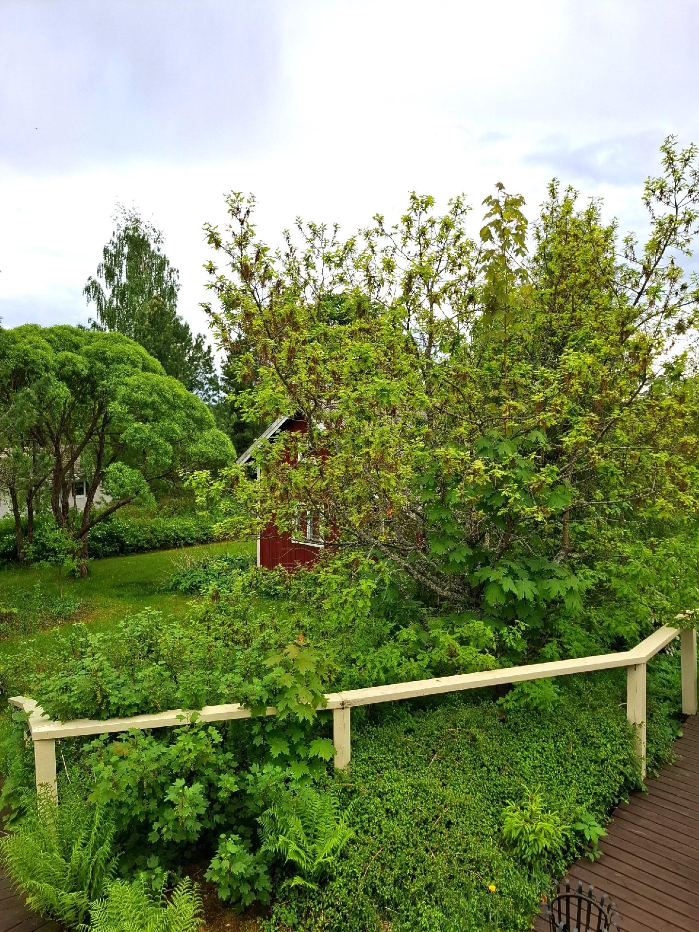 Koskiharjuntie 17, Hämeenkoski, Hollola