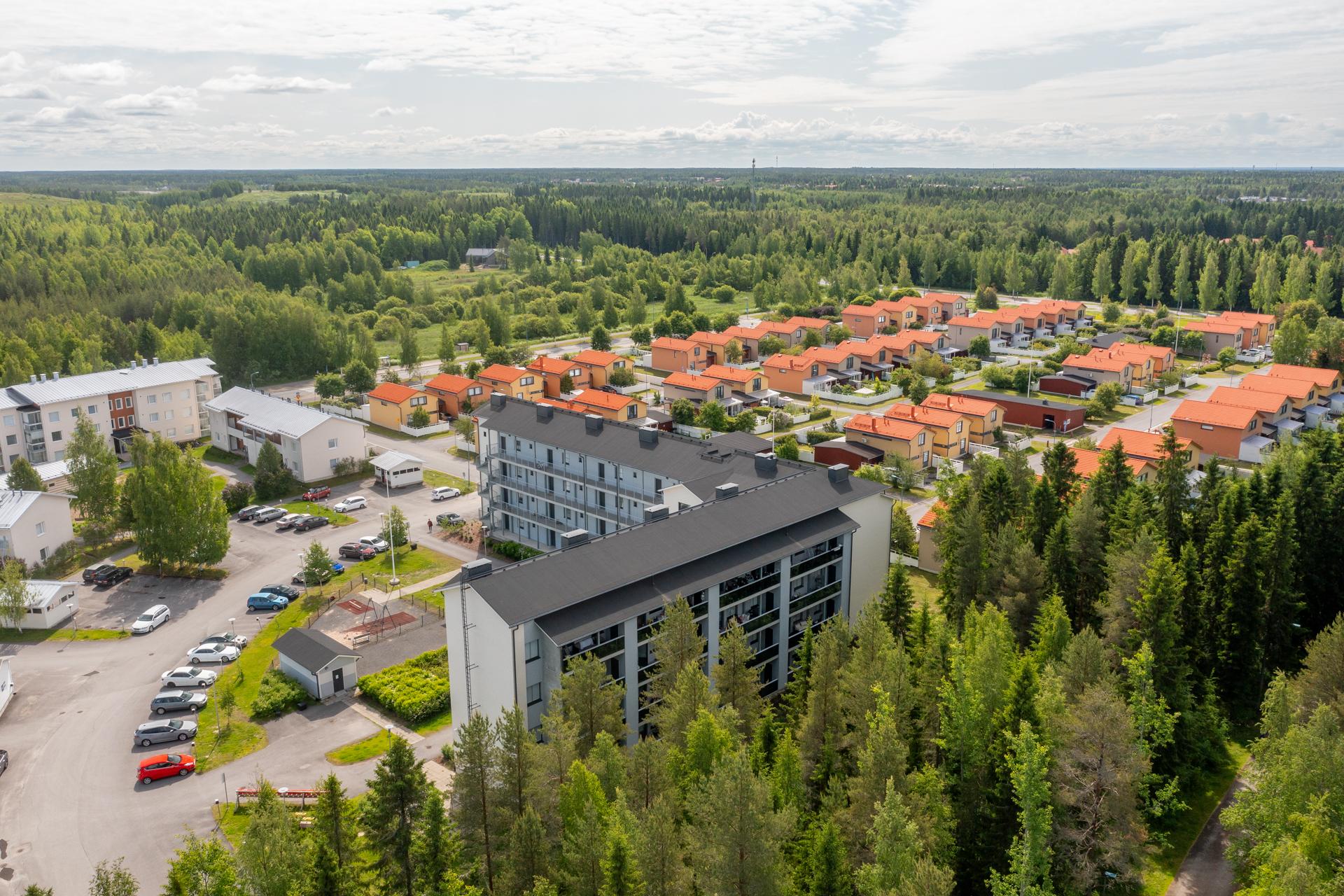 Pohjantikankuja 8, Kaakkuri, Oulu