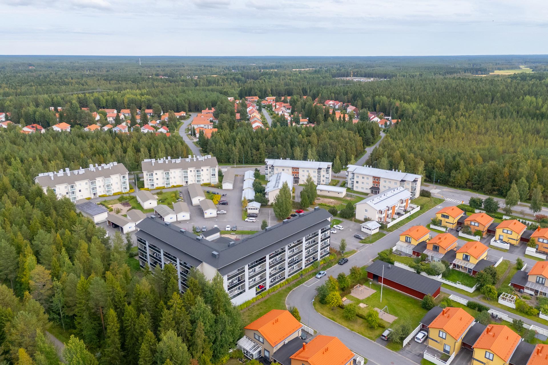 Pohjantikankuja 8, Kaakkuri, Oulu