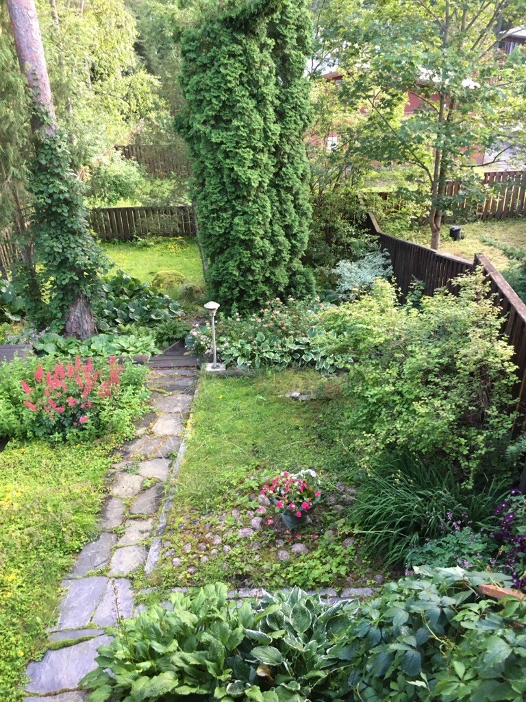 Kesäkuva