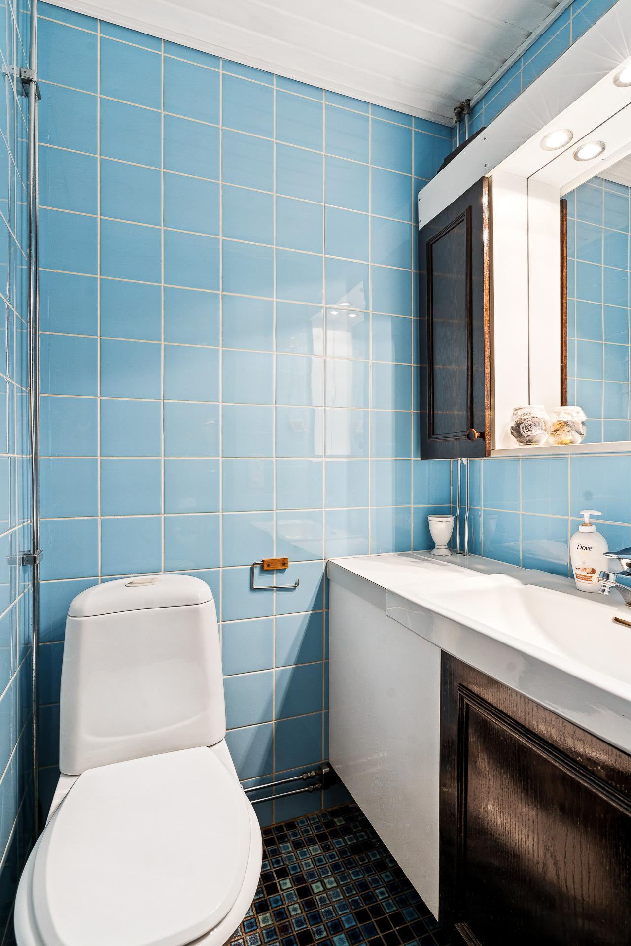 Alakerran erillinen wc