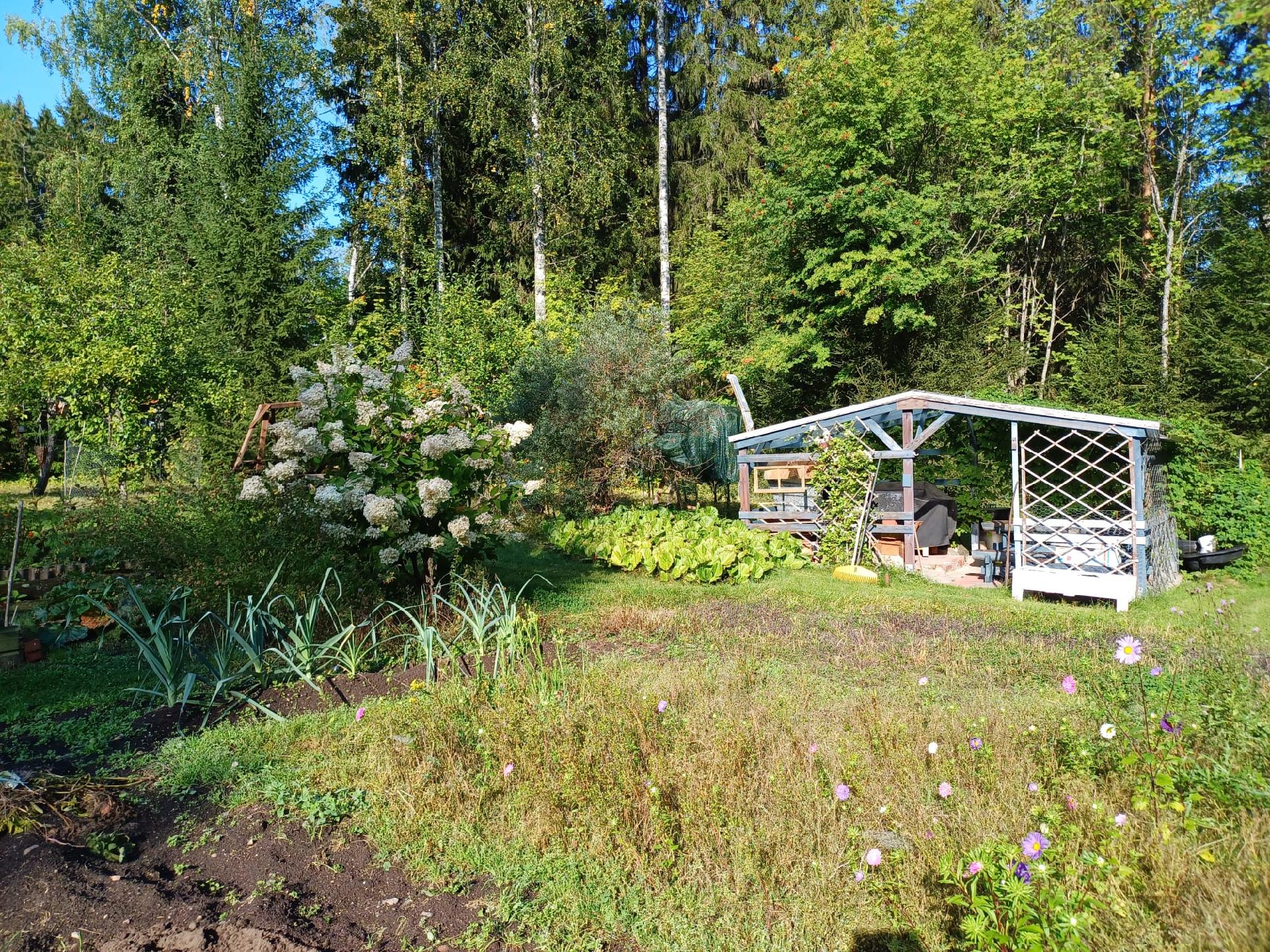 Repokankaantie 21, Repokangas, Varkaus