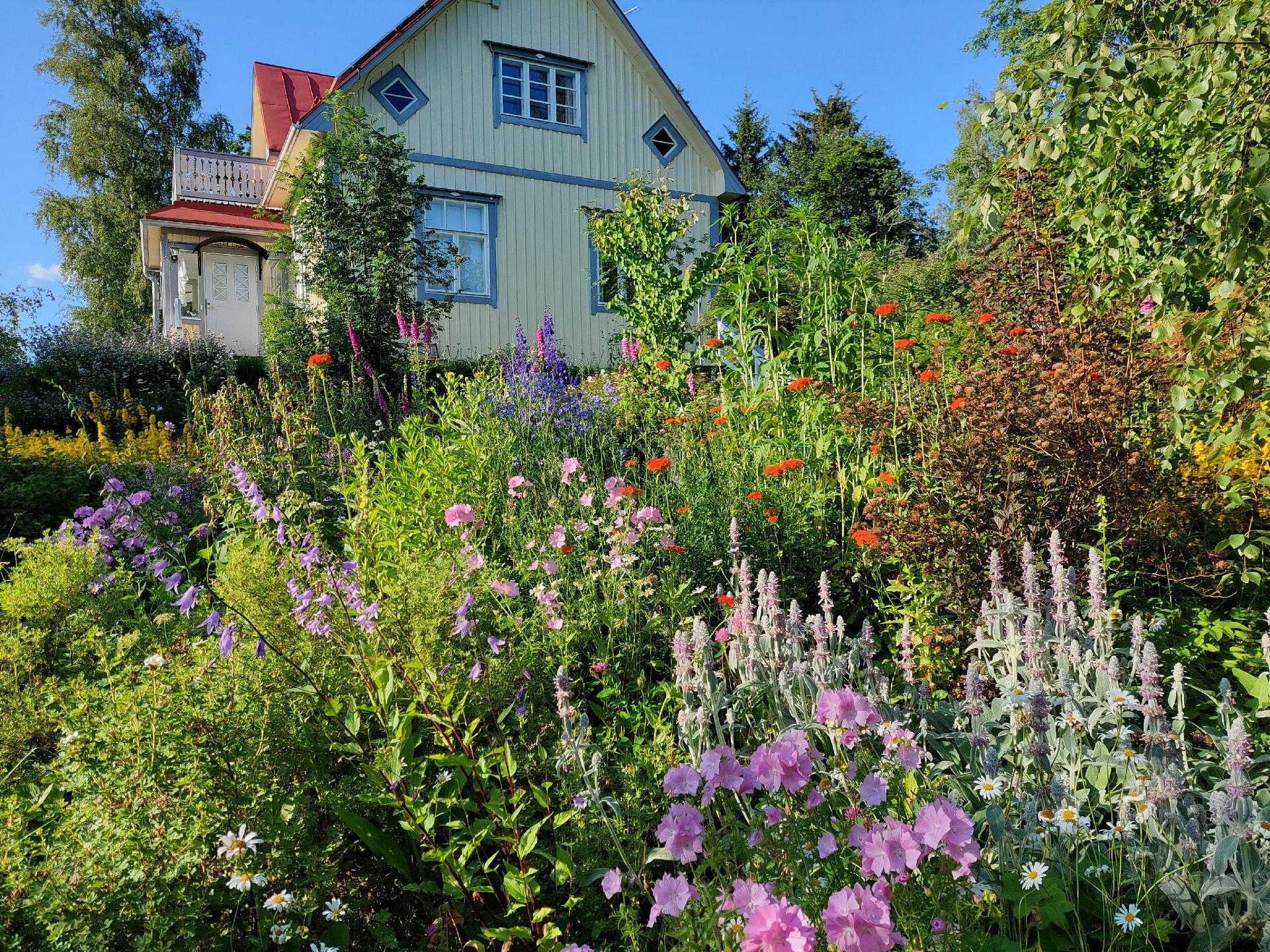 omistajan kuva-albumista