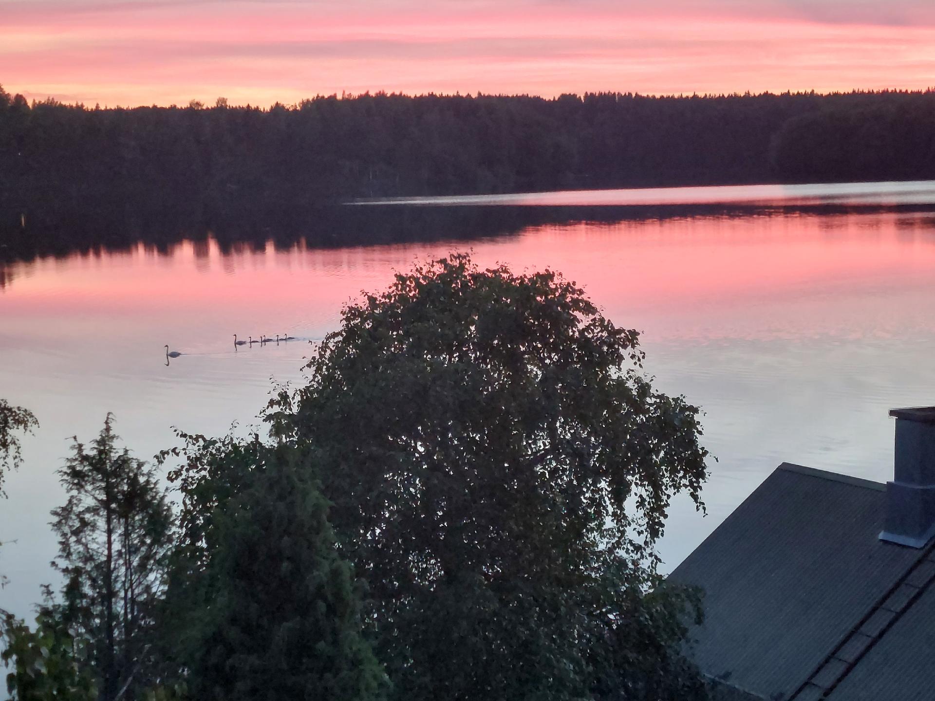 omistajan kuva-albumista