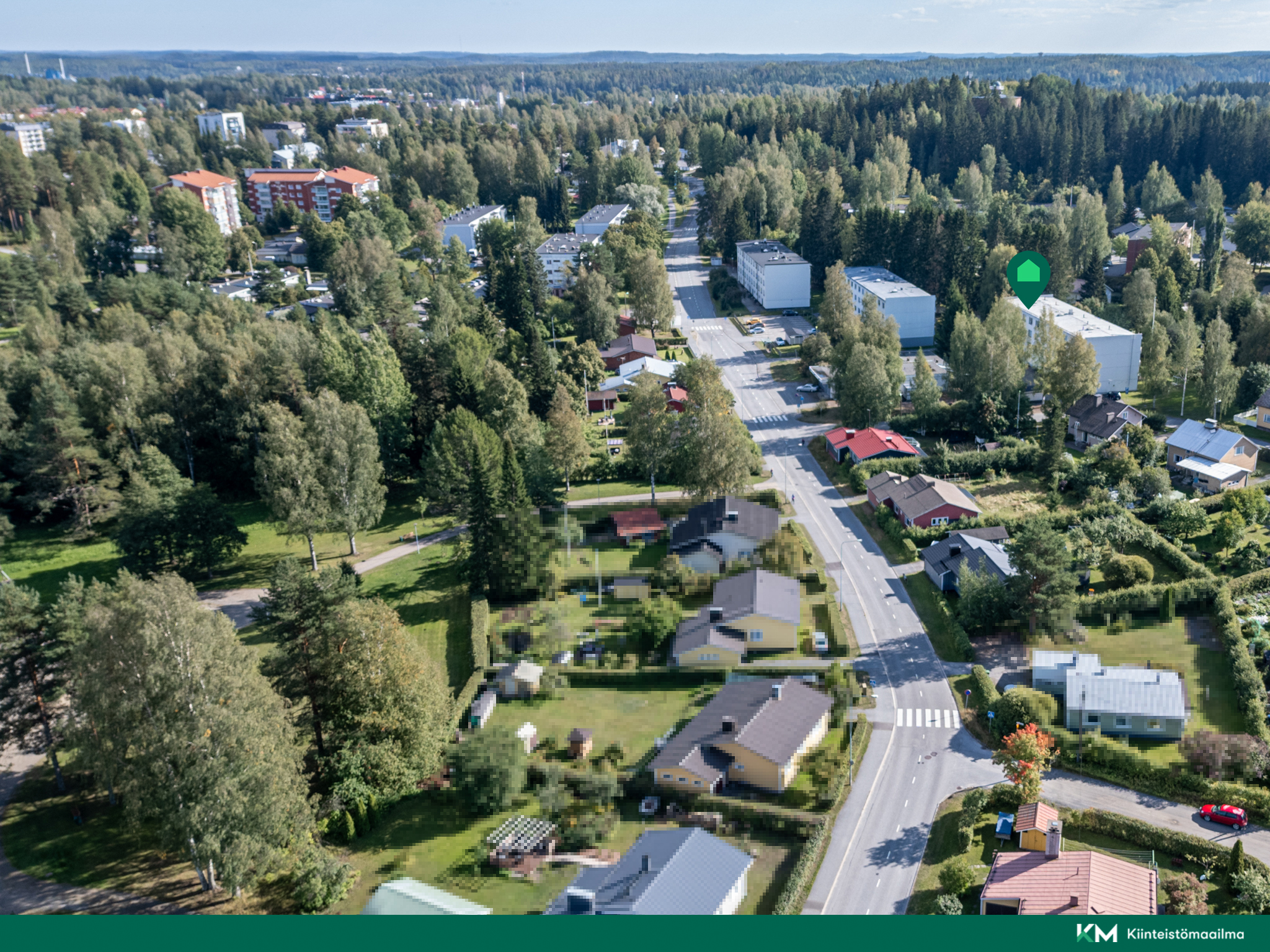 kesäkuvia
