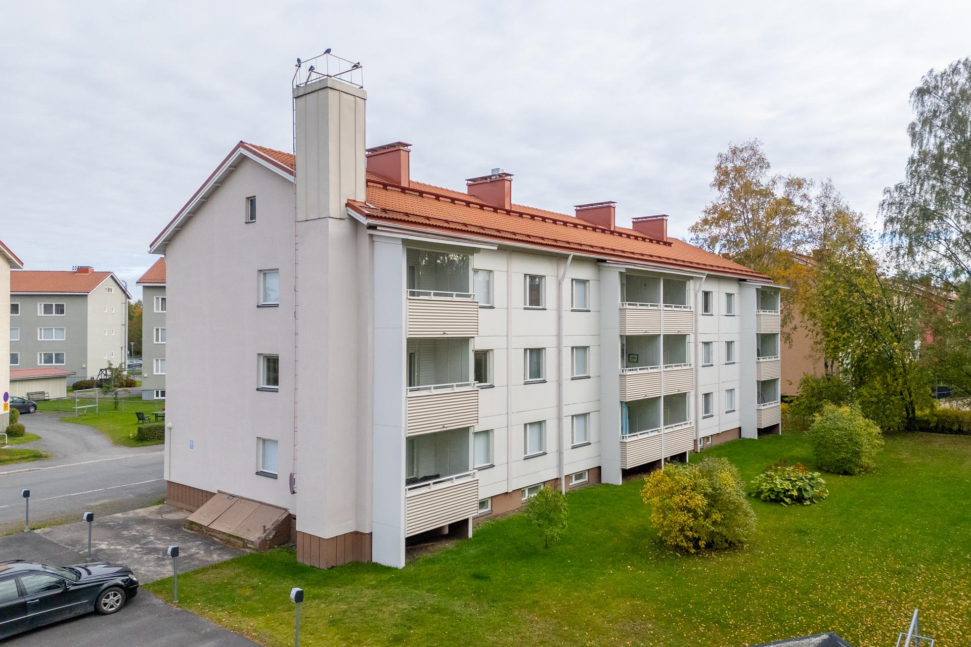 Viihtyisä takapihan alue