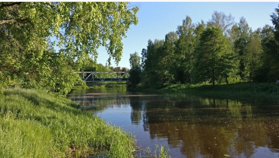 joen ranta kesällä