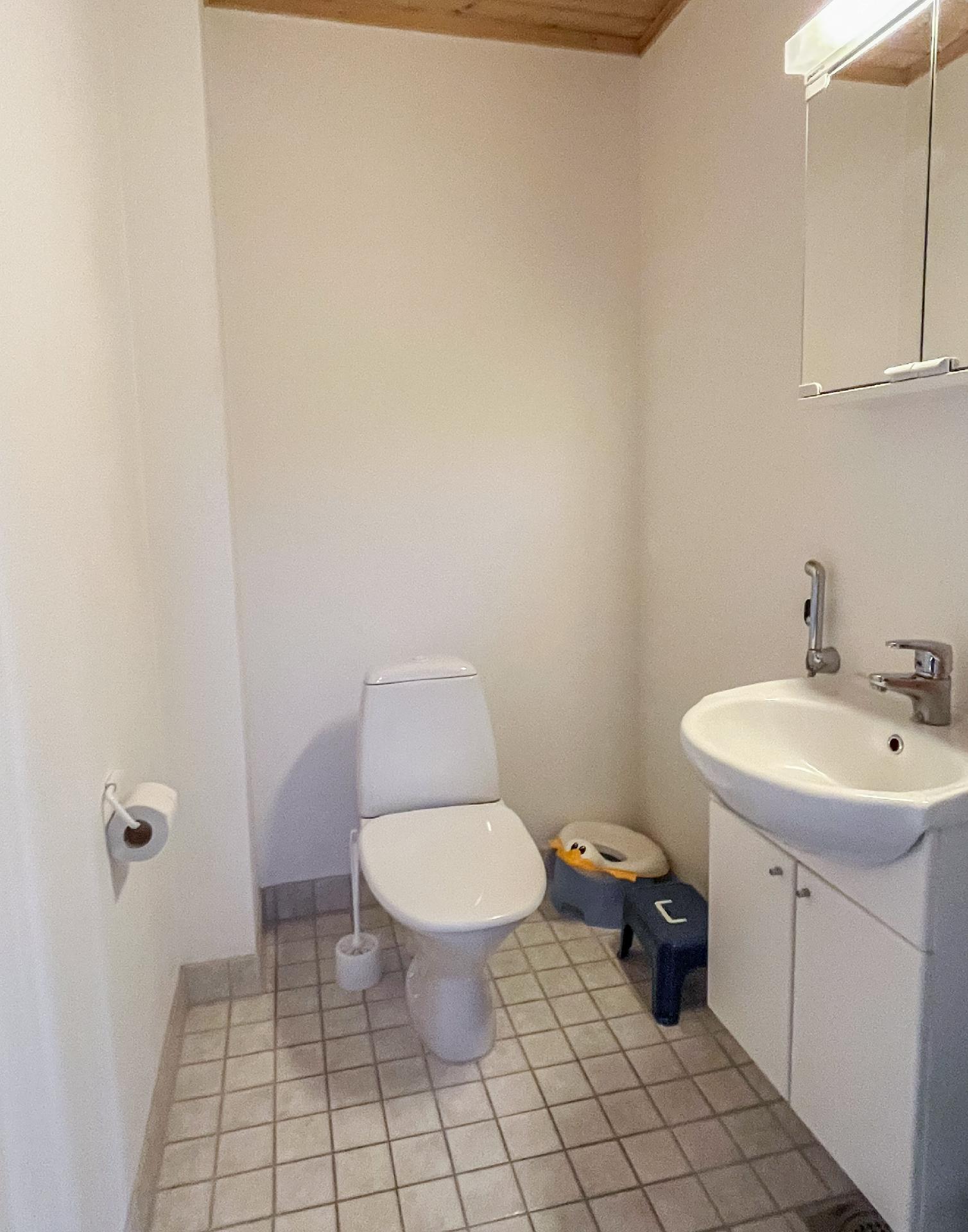 Alakerran erillinen wc