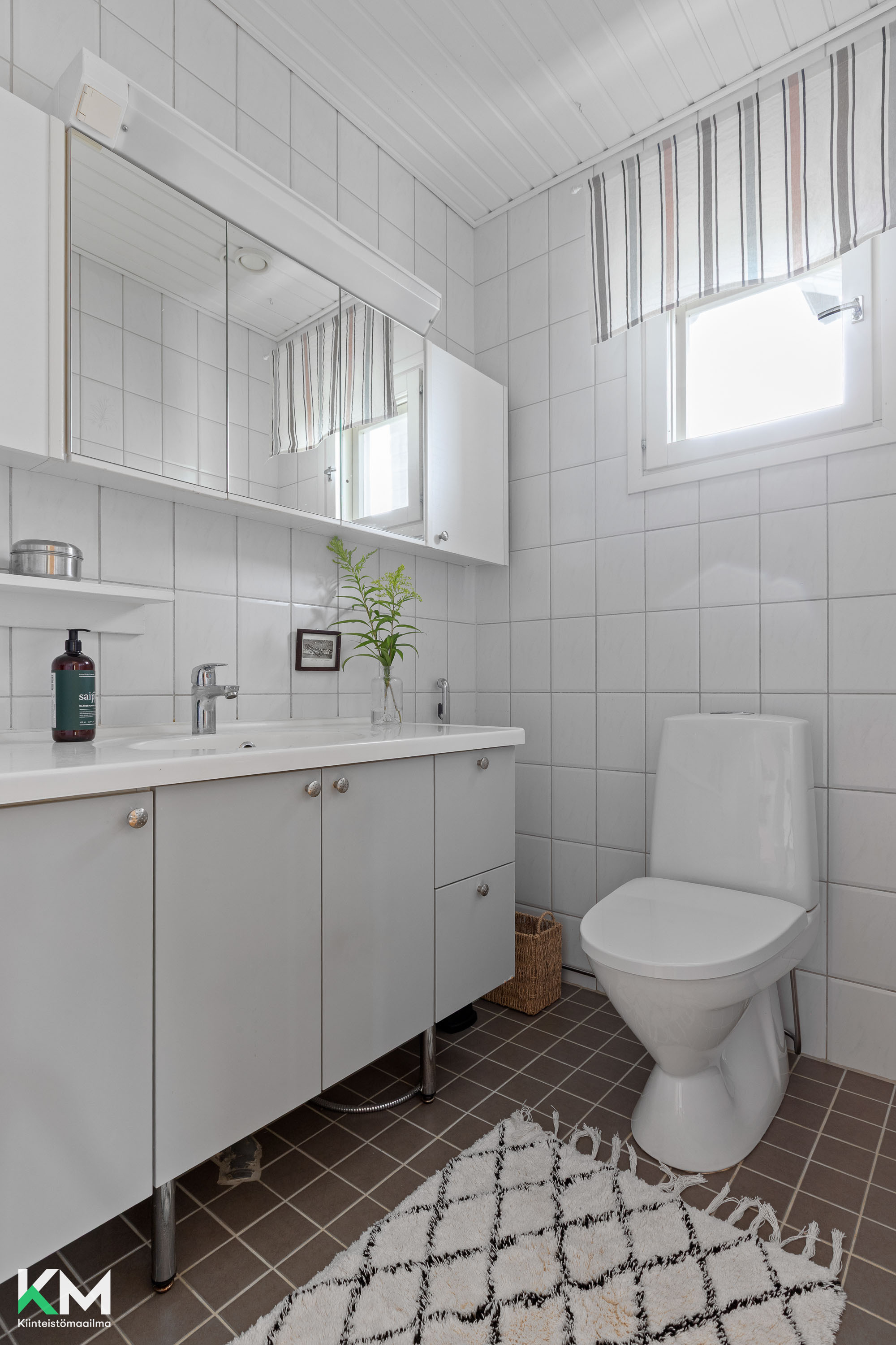 Erillinen wc