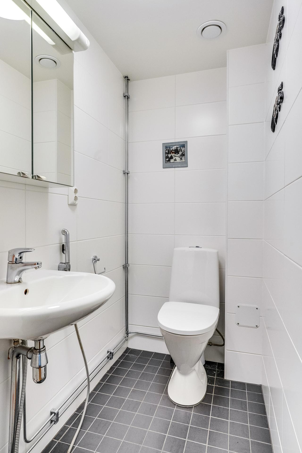 Erillinen wc, remontoitu v. 2016