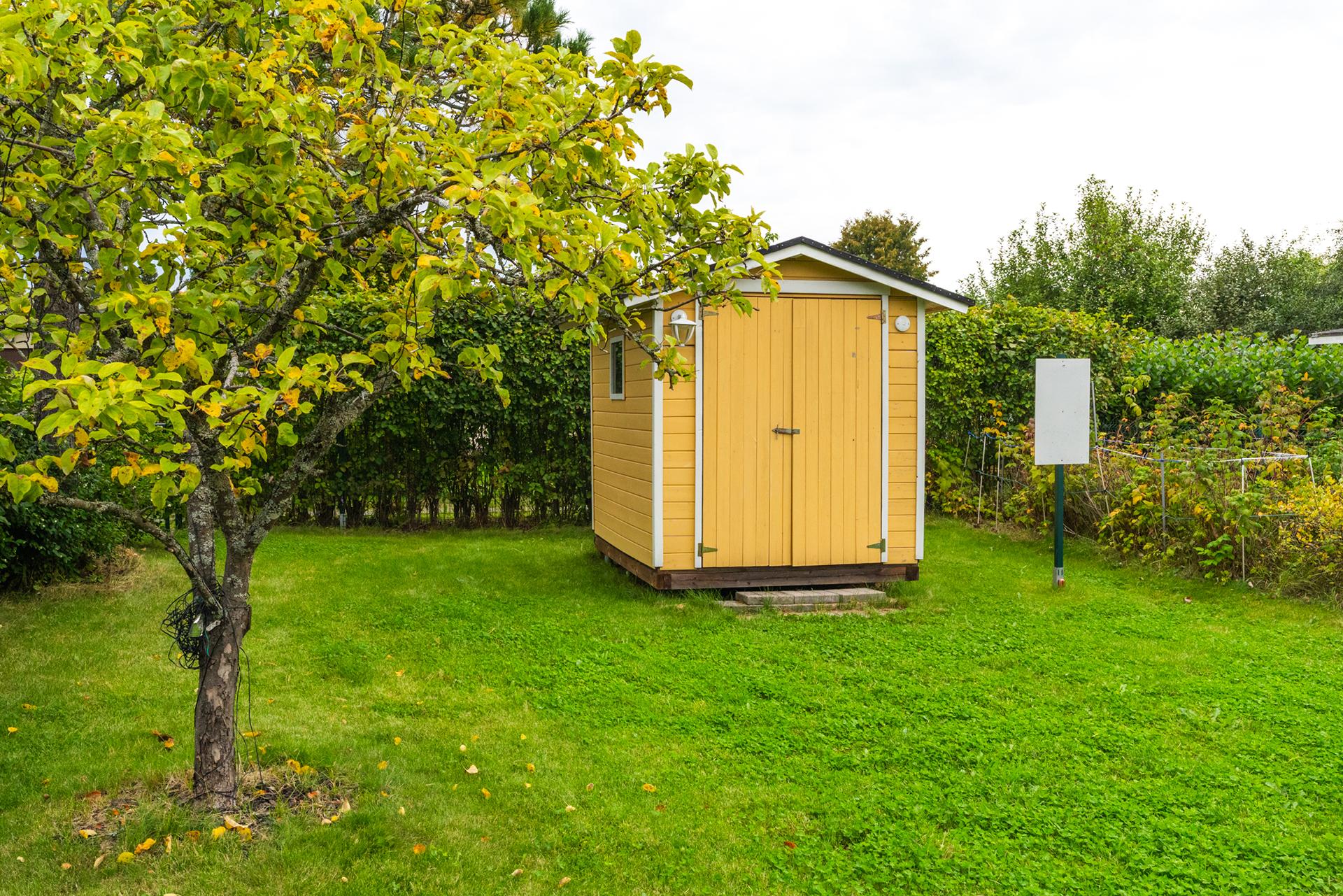 Omenapuu ja puutarhavarasto