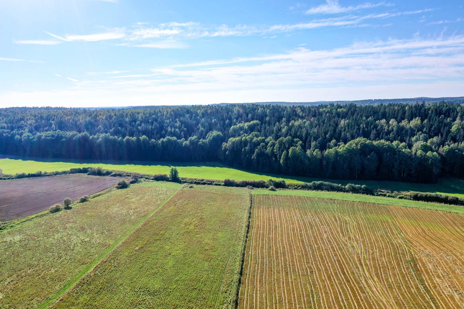 Nokkelintie 1, Jokikunta, Vihti