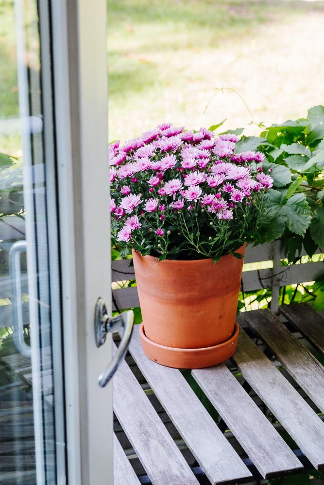 Maskuntie 7, Ruskeasuo, Helsinki