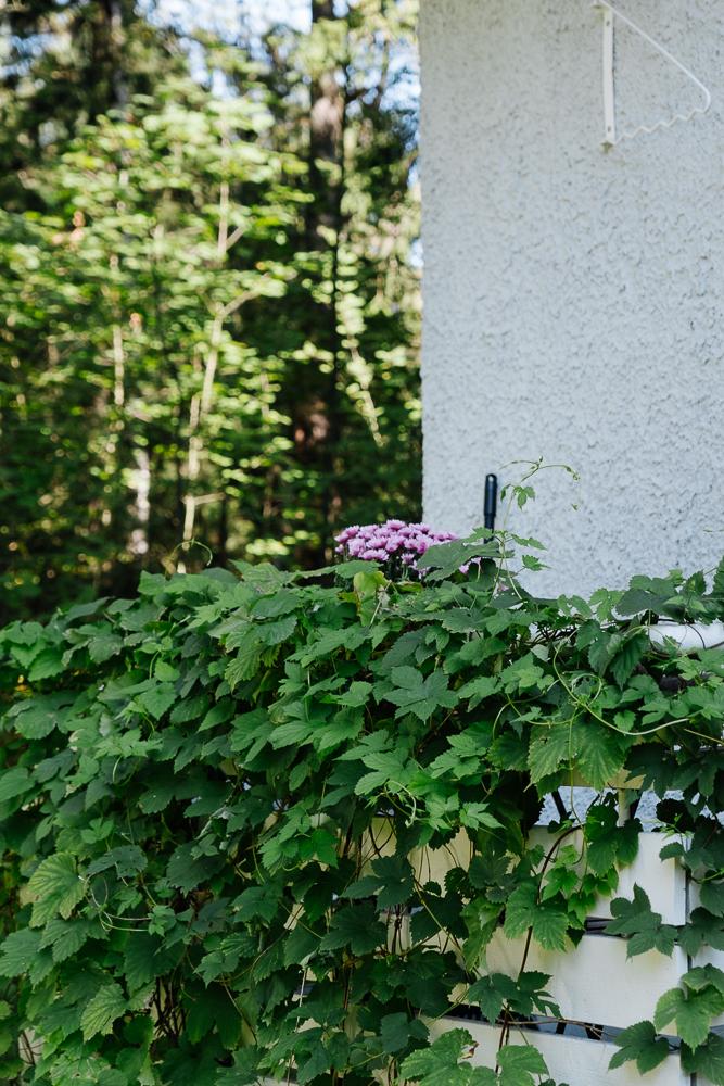 Maskuntie 7, Ruskeasuo, Helsinki