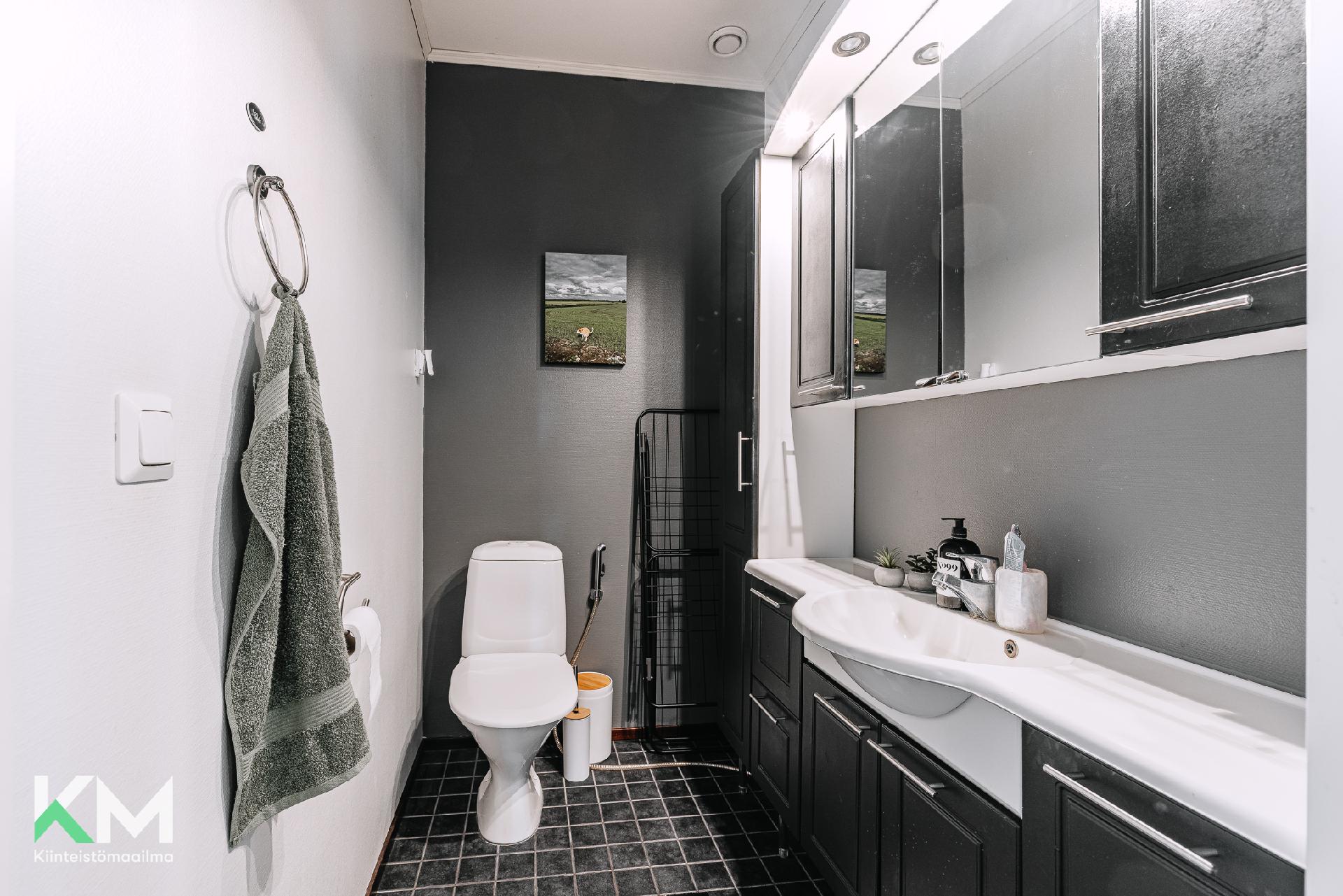 Kuninkaansaarentie 6, Halkosaari, Seinäjoki