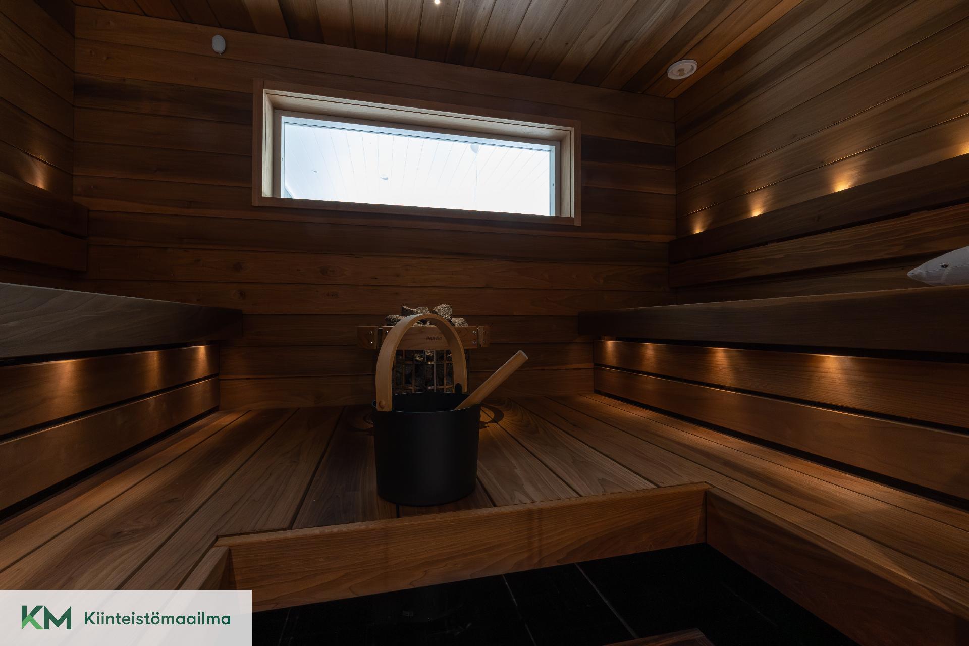 Lauteet magnolia-puuta