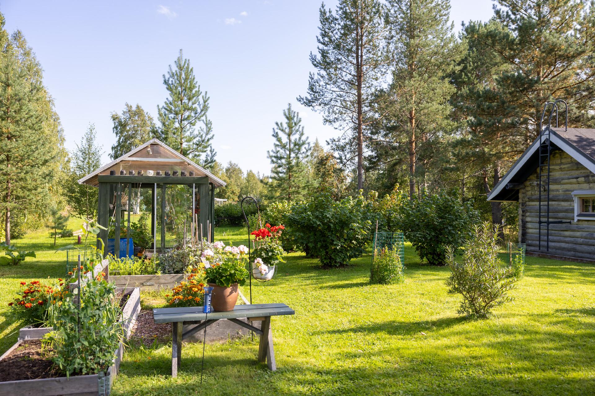 Rissalankuja 7, Ylisotkamo, Sotkamo