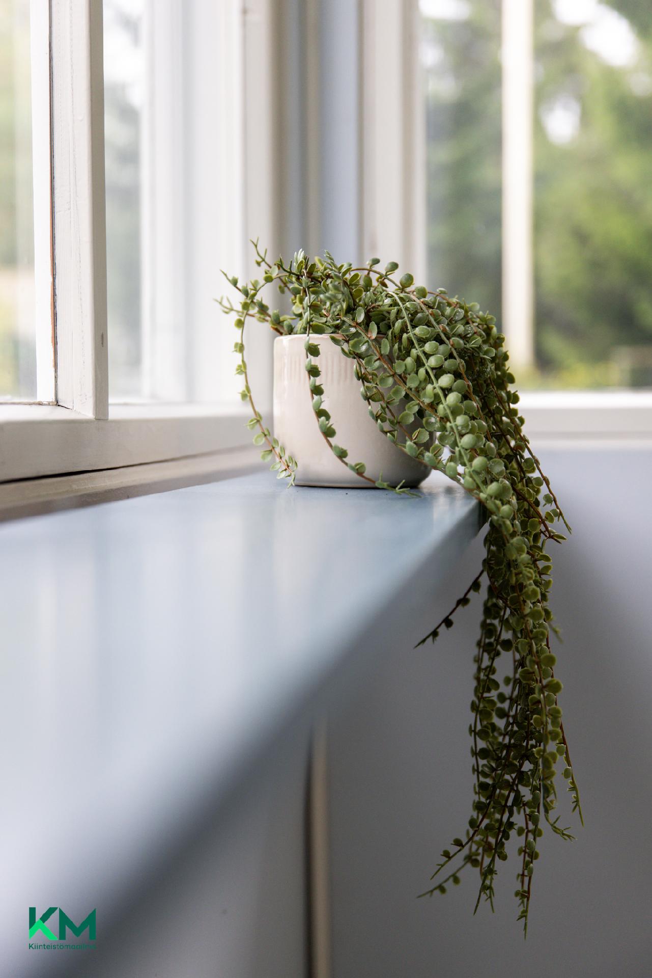 Kaukovainionkatu 26, Karjasilta, Oulu