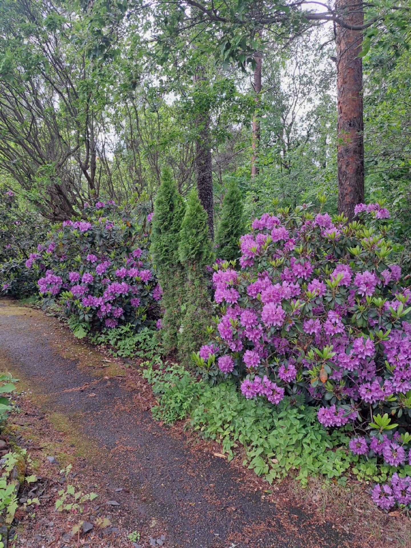 Riilahdentie 5, Kaitaa, Espoo