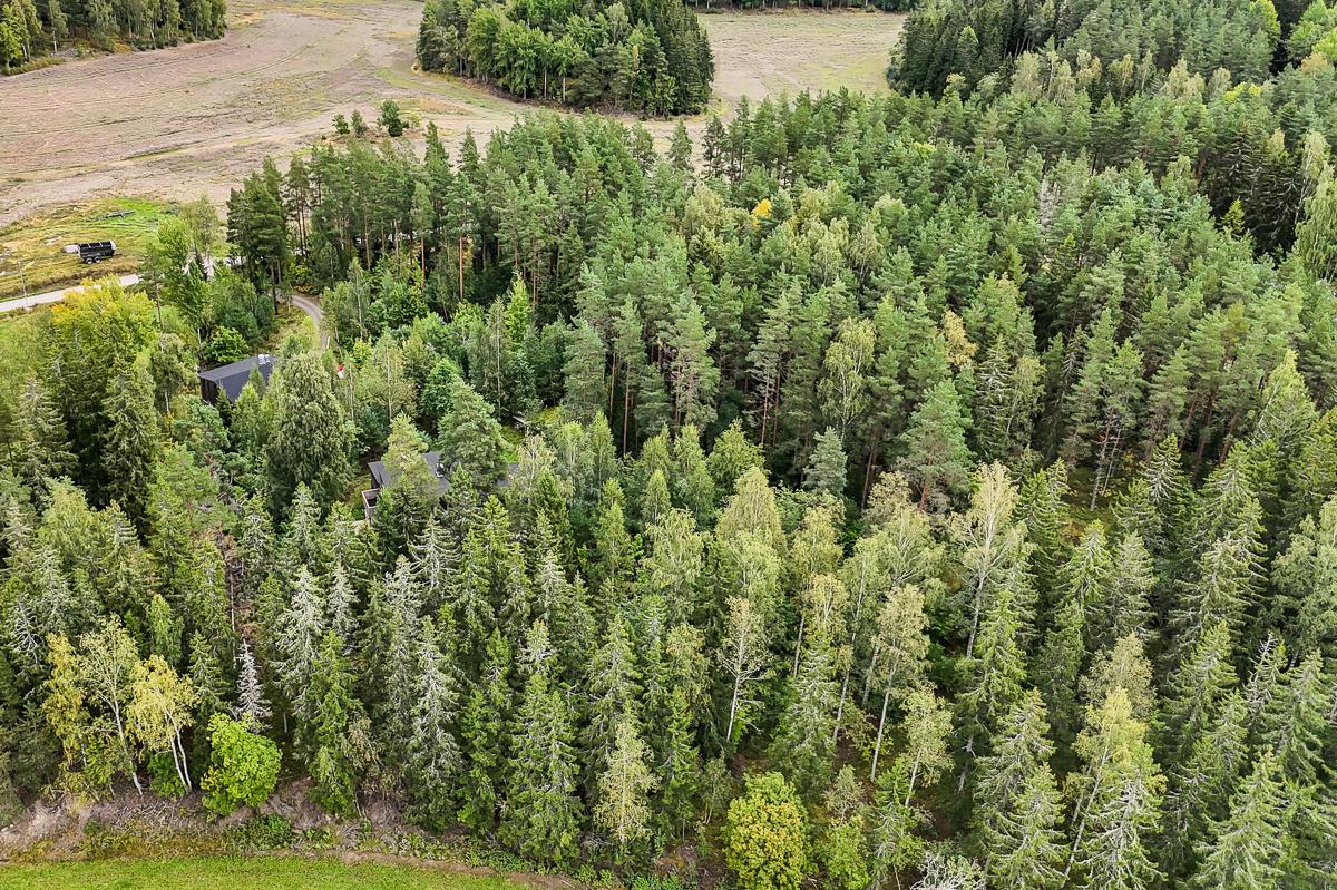 Järnvikintie 17, Fiskars, Raasepori