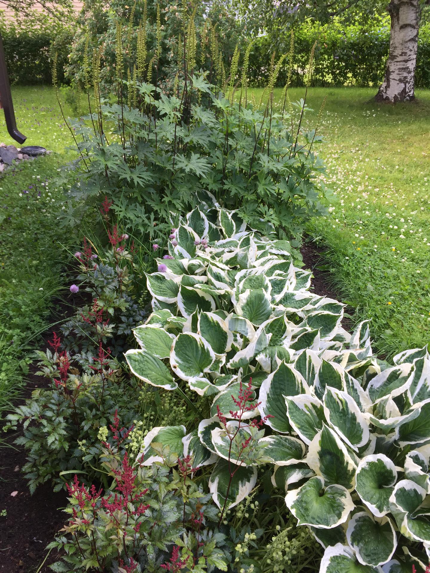 Sammontie 19, Keskusta, Pieksämäki