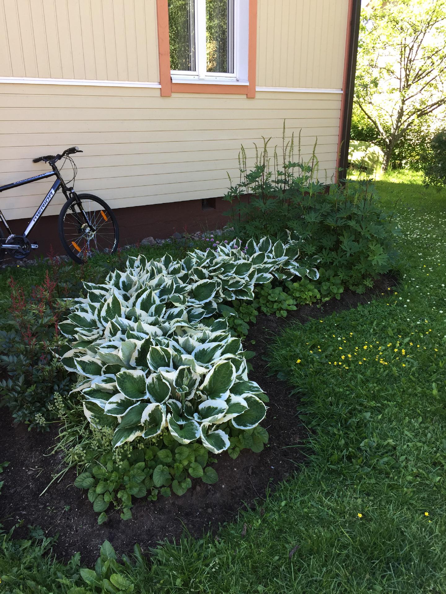 Sammontie 19, Keskusta, Pieksämäki